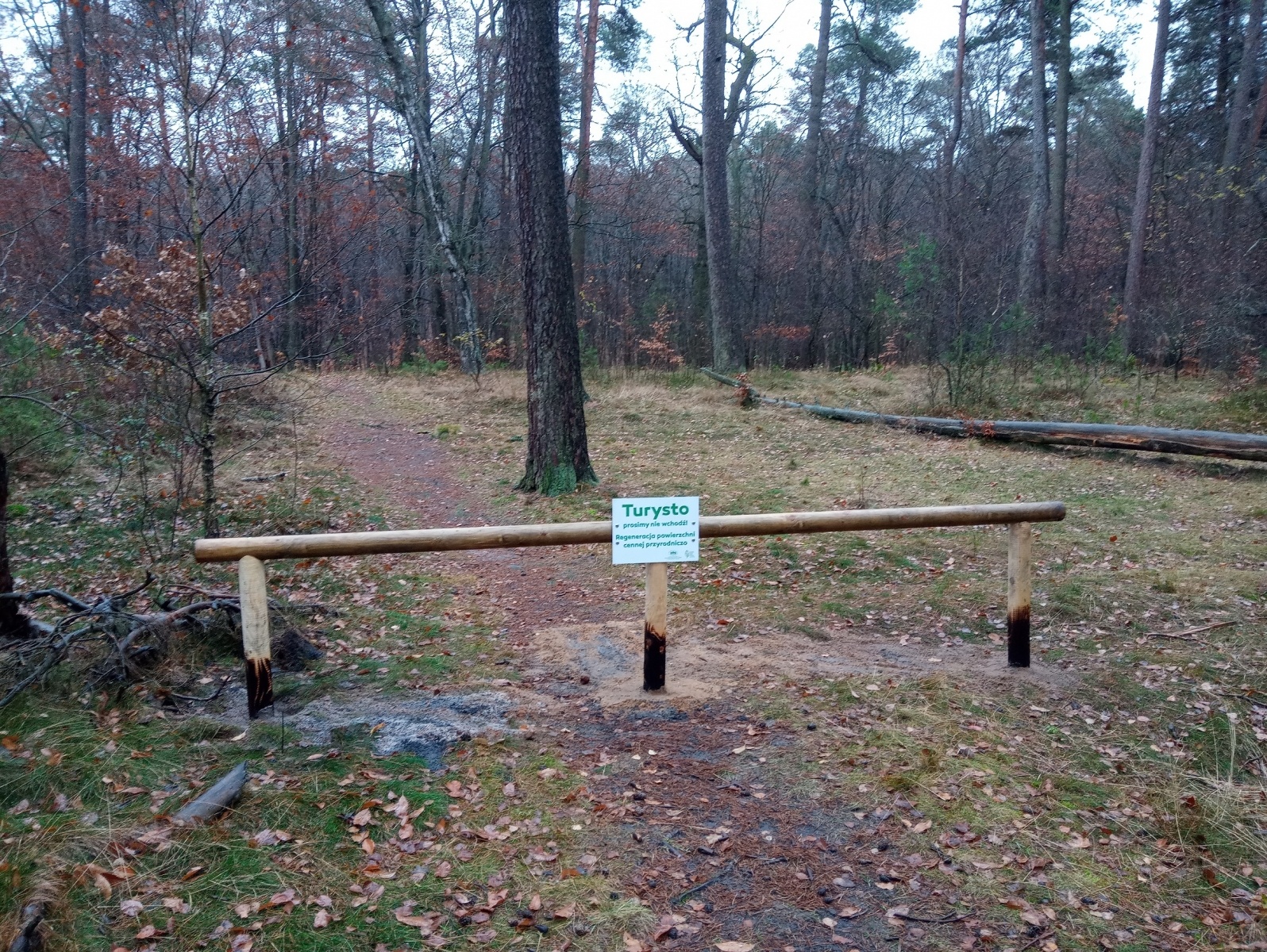 Zdjęcie w galerii na portalu naszraciborz.pl: W rezerwacie Łężczok ustawiono bariery wiadomości z regionu