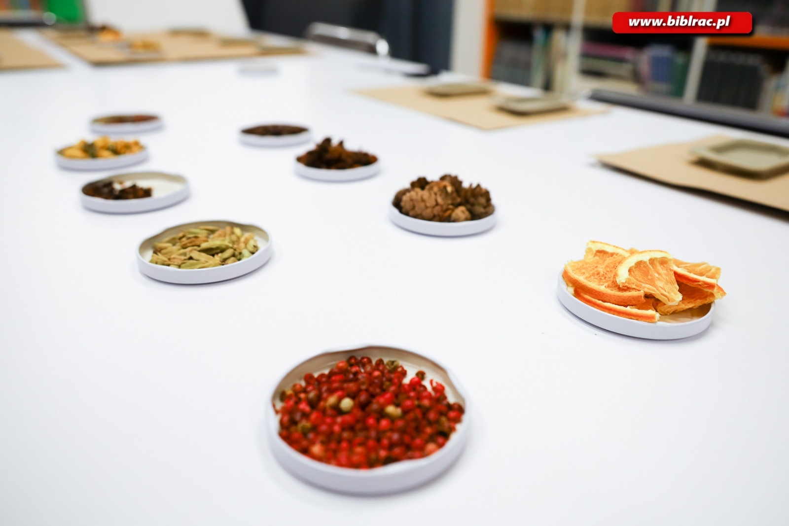 Zdjęcie w galerii na portalu naszraciborz.pl: Eko ozdoby. Warsztaty z Anną Jaklewicz w raciborskiej bibliotece [FOTO] wiadomości z regionu