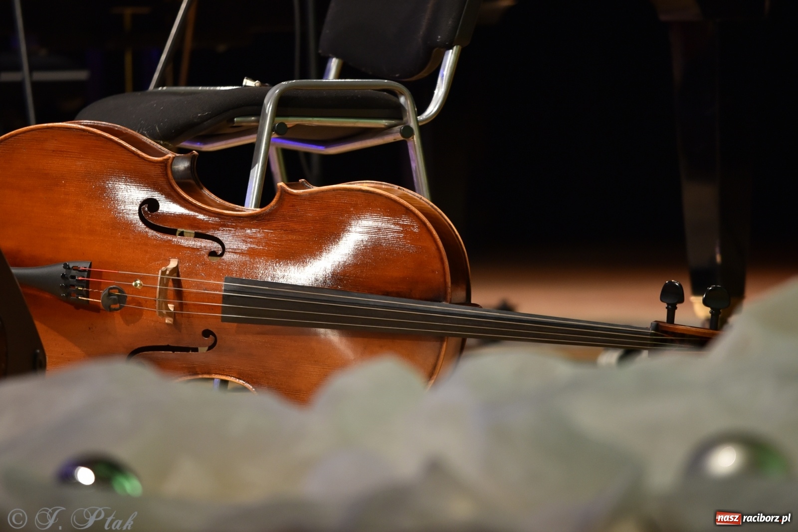 Zdjęcie w galerii na portalu naszraciborz.pl: Maluchy w krainie dźwięku w mikołajkowym klimacie wiadomości z regionu