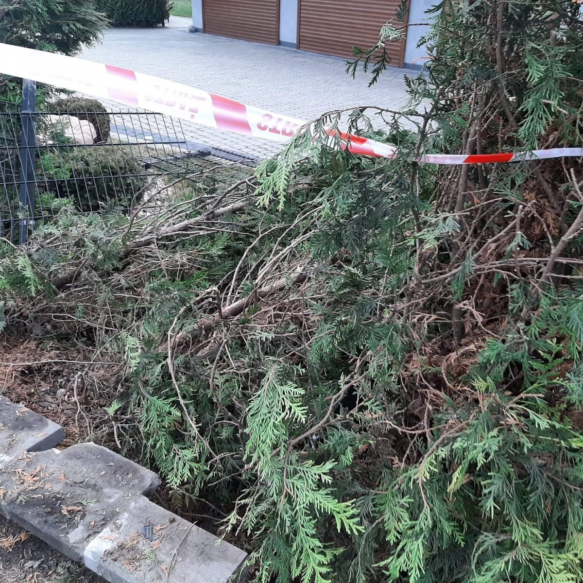 Zdjęcie w galerii na portalu naszraciborz.pl: Peugeot staranował ogrodzenie posesji w Budziskach wiadomości z regionu