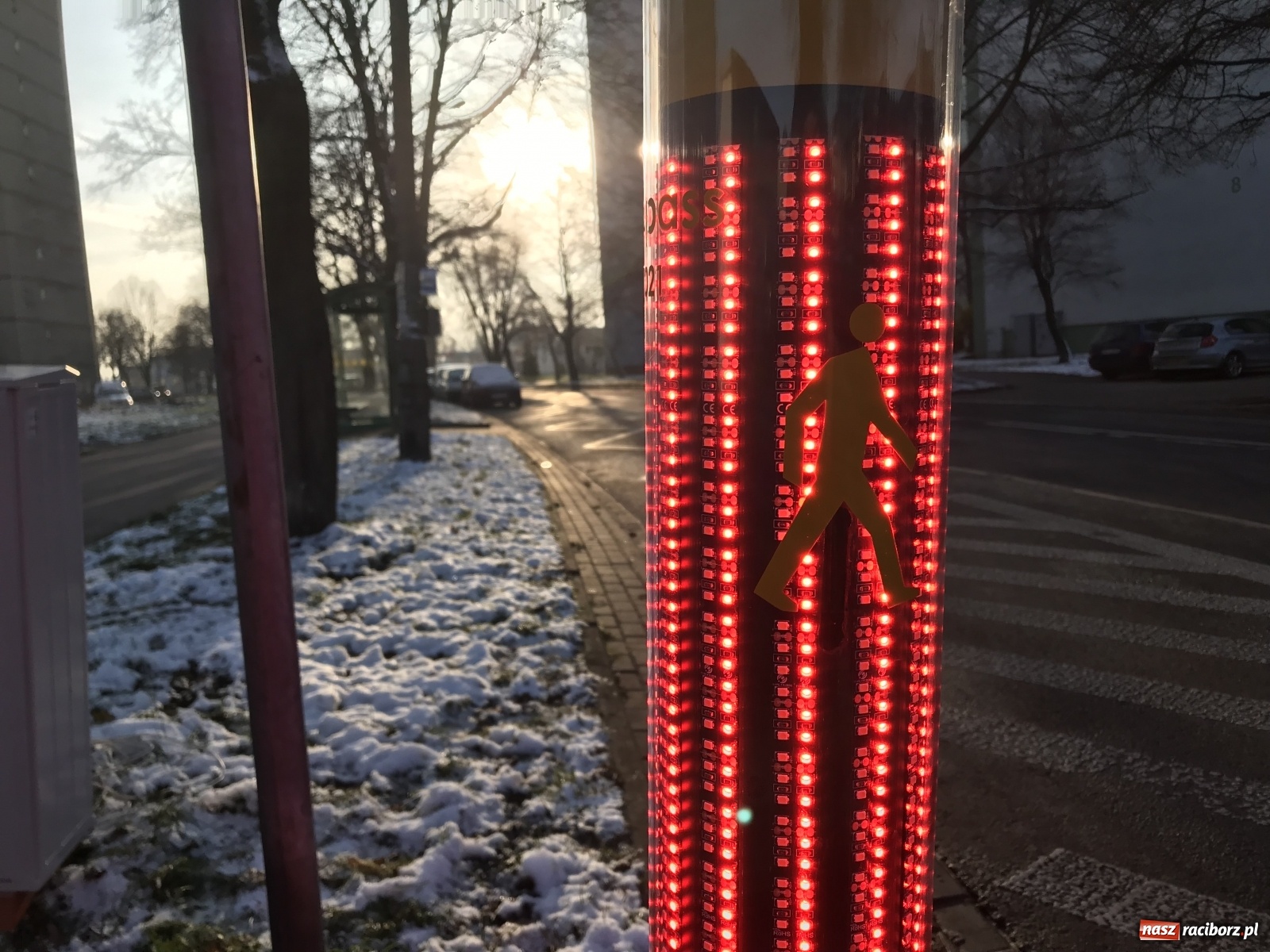 Zdjęcie w galerii na portalu naszraciborz.pl: Safepass testowany w Raciborzu. Ludzie bali się wejść na przejście wiadomości z regionu