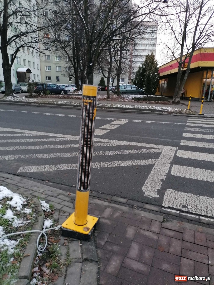 Zdjęcie w galerii na portalu naszraciborz.pl: Safepass testowany w Raciborzu. Ludzie bali się wejść na przejście wiadomości z regionu