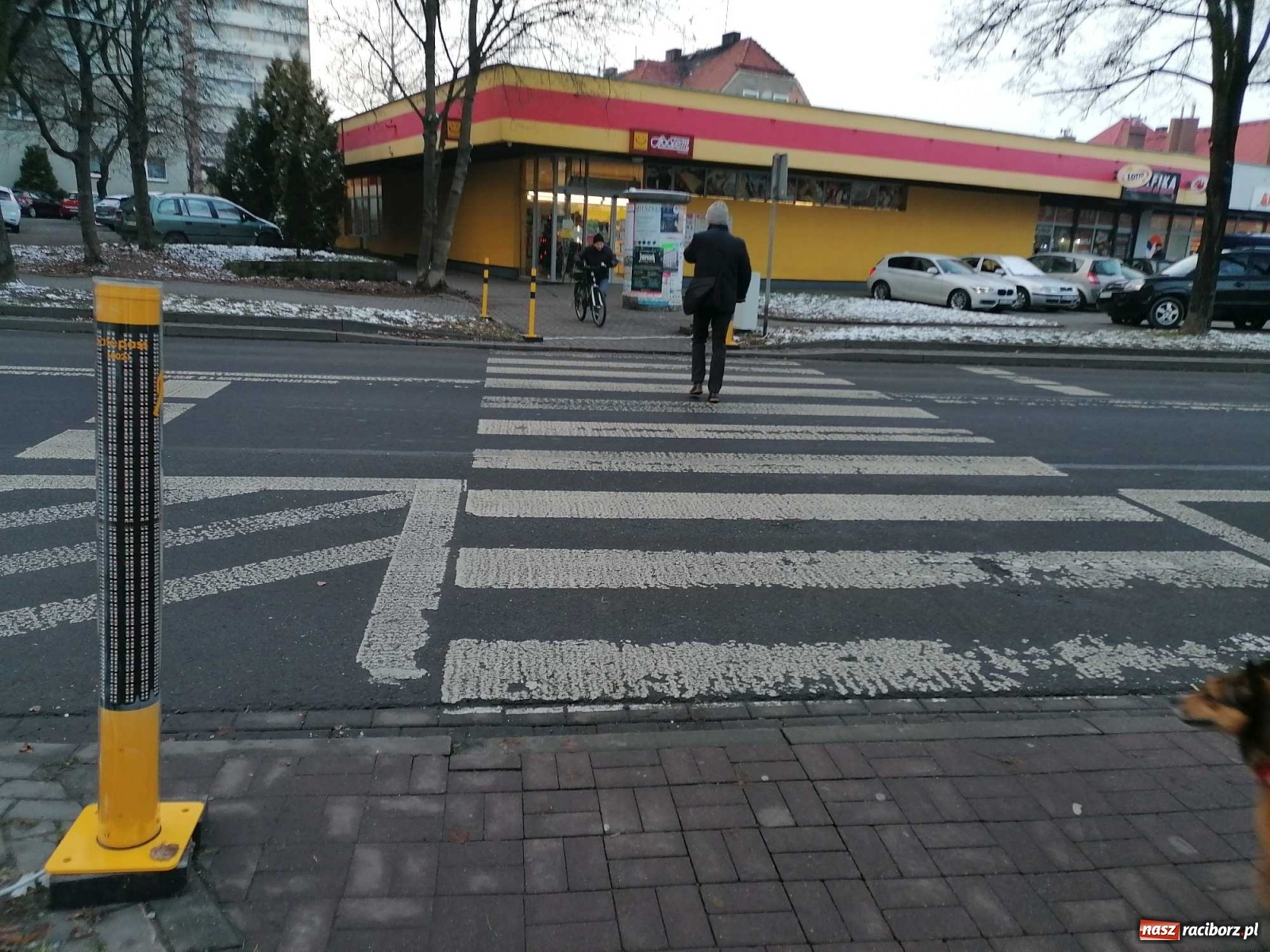 Zdjęcie w galerii na portalu naszraciborz.pl: Safepass testowany w Raciborzu. Ludzie bali się wejść na przejście wiadomości z regionu