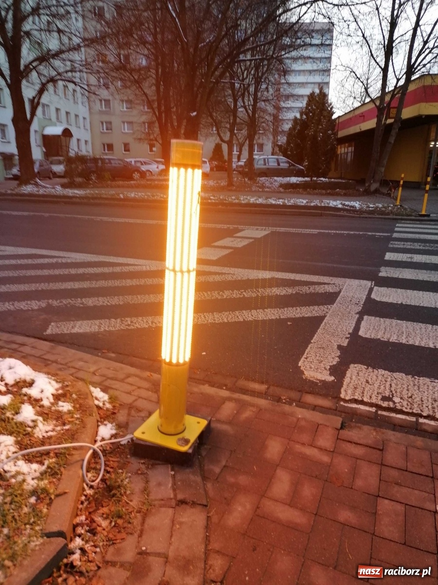 Zdjęcie w galerii na portalu naszraciborz.pl: Safepass testowany w Raciborzu. Ludzie bali się wejść na przejście wiadomości z regionu