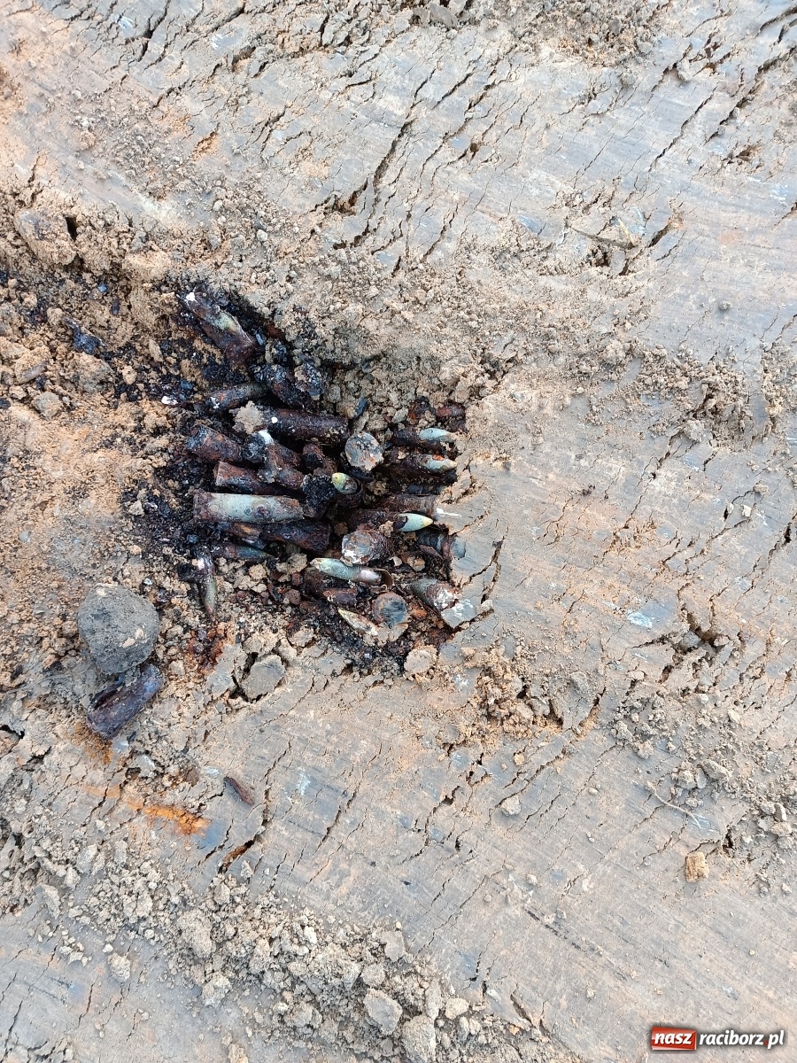 Zdjęcie w galerii na portalu naszraciborz.pl: Posowieckie stanowisko bojowe odkryte w Tworkowie [FOTO] wiadomości z regionu