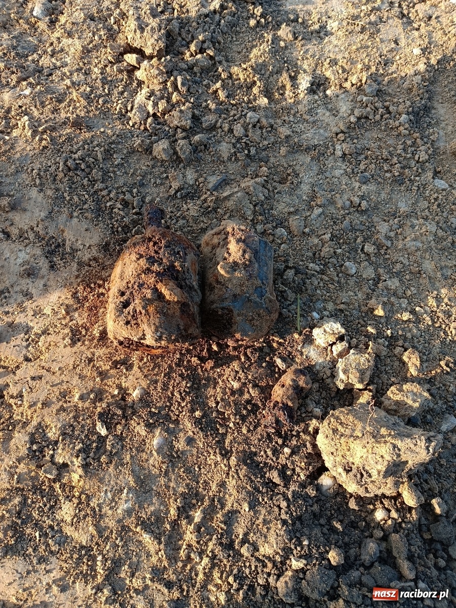Zdjęcie w galerii na portalu naszraciborz.pl: Posowieckie stanowisko bojowe odkryte w Tworkowie [FOTO] wiadomości z regionu