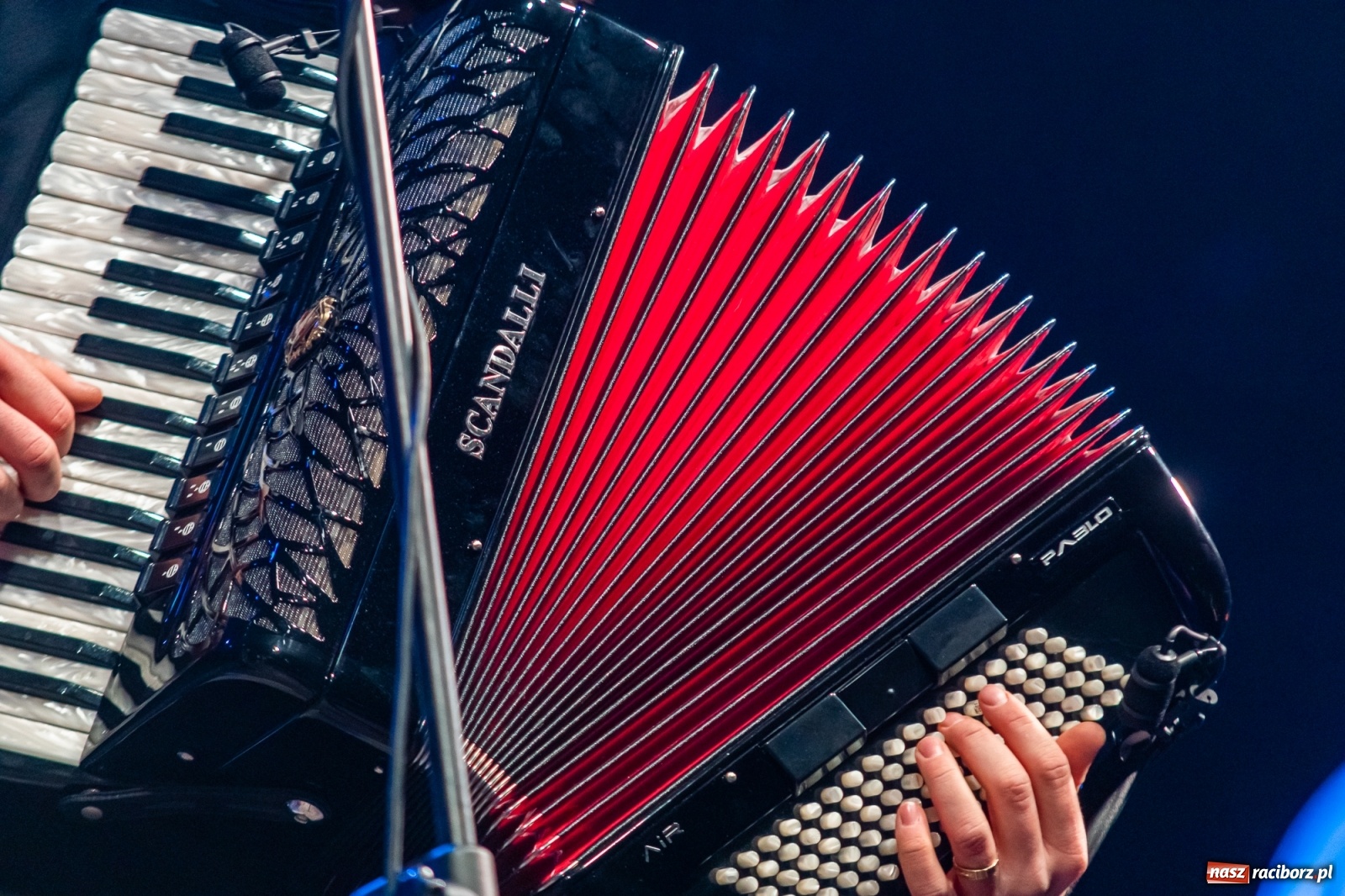 Zdjęcie w galerii na portalu naszraciborz.pl: Chóralne śpiewy i góralskie rytmy - niedziela na zamkowym jarmarku [FOTO i WIDEO] wiadomości z regionu