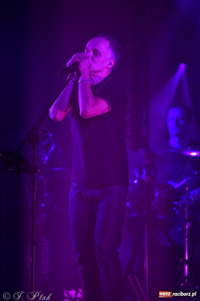 Zdjęcie w galerii na portalu naszraciborz.pl: Genialne! Piękne połączenie dźwięku i obrazu. Artur Rojek w Raciborzu wiadomości z regionu