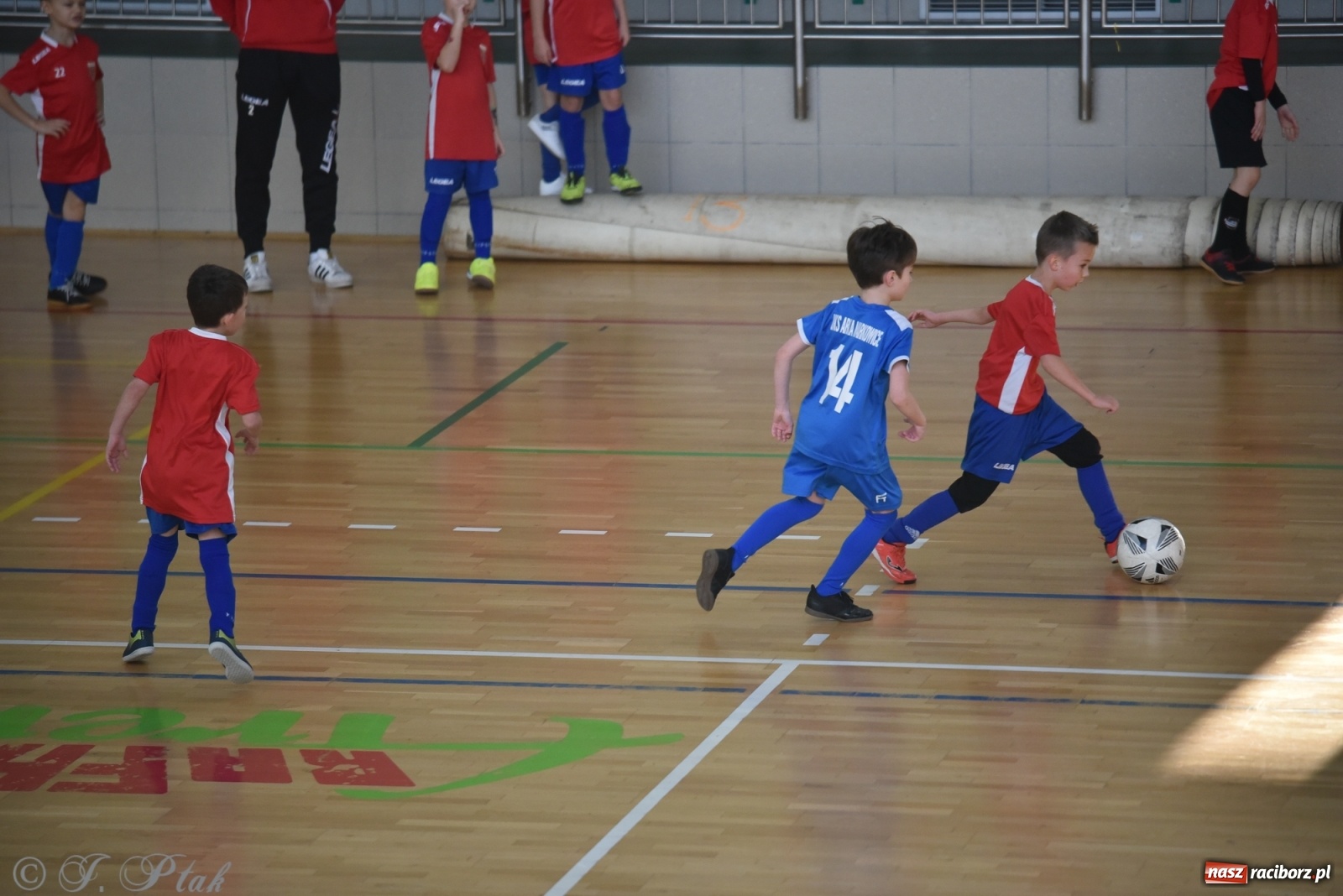 Zdjęcie w galerii na portalu naszraciborz.pl: Piłkarska rywalizacja żaków w Arenie Rafako [FOTO] wiadomości z regionu
