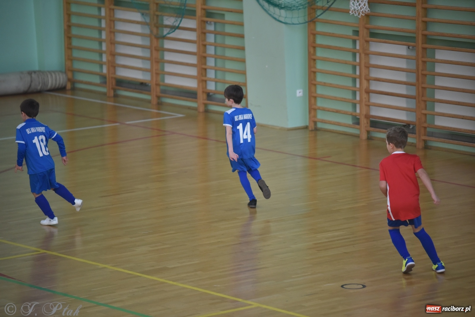 Zdjęcie w galerii na portalu naszraciborz.pl: Piłkarska rywalizacja żaków w Arenie Rafako [FOTO] wiadomości z regionu