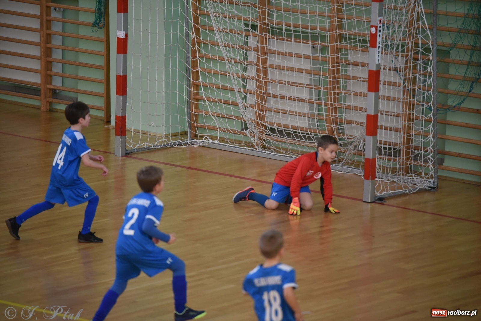 Zdjęcie w galerii na portalu naszraciborz.pl: Piłkarska rywalizacja żaków w Arenie Rafako [FOTO] wiadomości z regionu