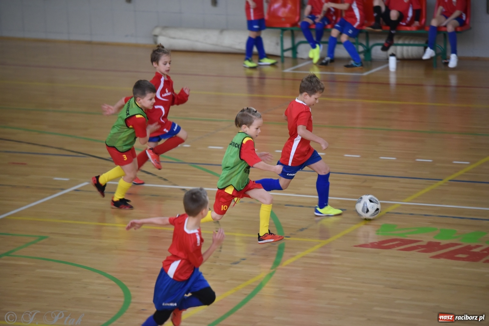 Zdjęcie w galerii na portalu naszraciborz.pl: Piłkarska rywalizacja żaków w Arenie Rafako [FOTO] wiadomości z regionu