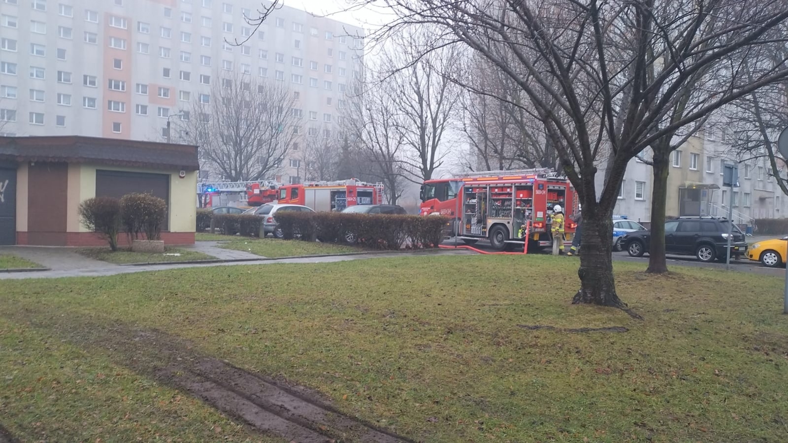 Zdjęcie w galerii na portalu naszraciborz.pl: Pożar mieszkania przy ul. Żorskiej w Raciborzu. Uratowano psa, 100 tys. zł strat [FOTO i WIDEO] wiadomości z regionu