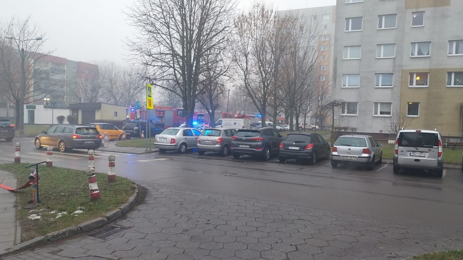 Zdjęcie w galerii na portalu naszraciborz.pl: Pożar mieszkania przy ul. Żorskiej w Raciborzu. Uratowano psa, 100 tys. zł strat [FOTO i WIDEO] wiadomości z regionu