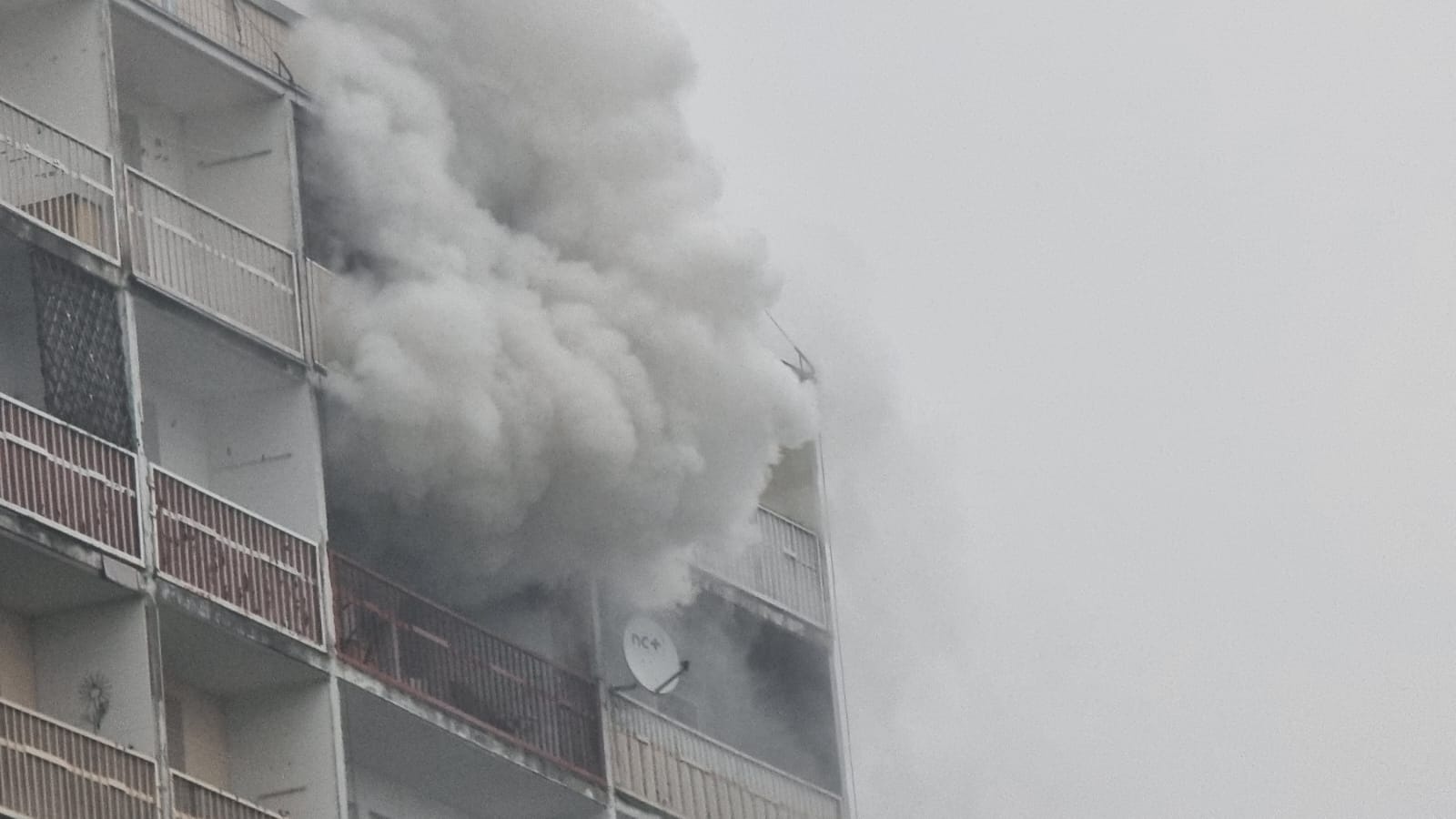 Zdjęcie w galerii na portalu naszraciborz.pl: Pożar mieszkania przy ul. Żorskiej w Raciborzu. Uratowano psa, 100 tys. zł strat [FOTO i WIDEO] wiadomości z regionu