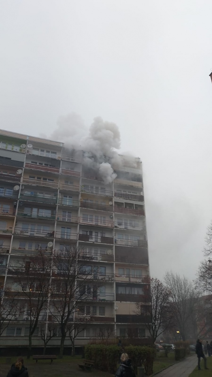 Zdjęcie w galerii na portalu naszraciborz.pl: Pożar mieszkania przy ul. Żorskiej w Raciborzu. Uratowano psa, 100 tys. zł strat [FOTO i WIDEO] wiadomości z regionu