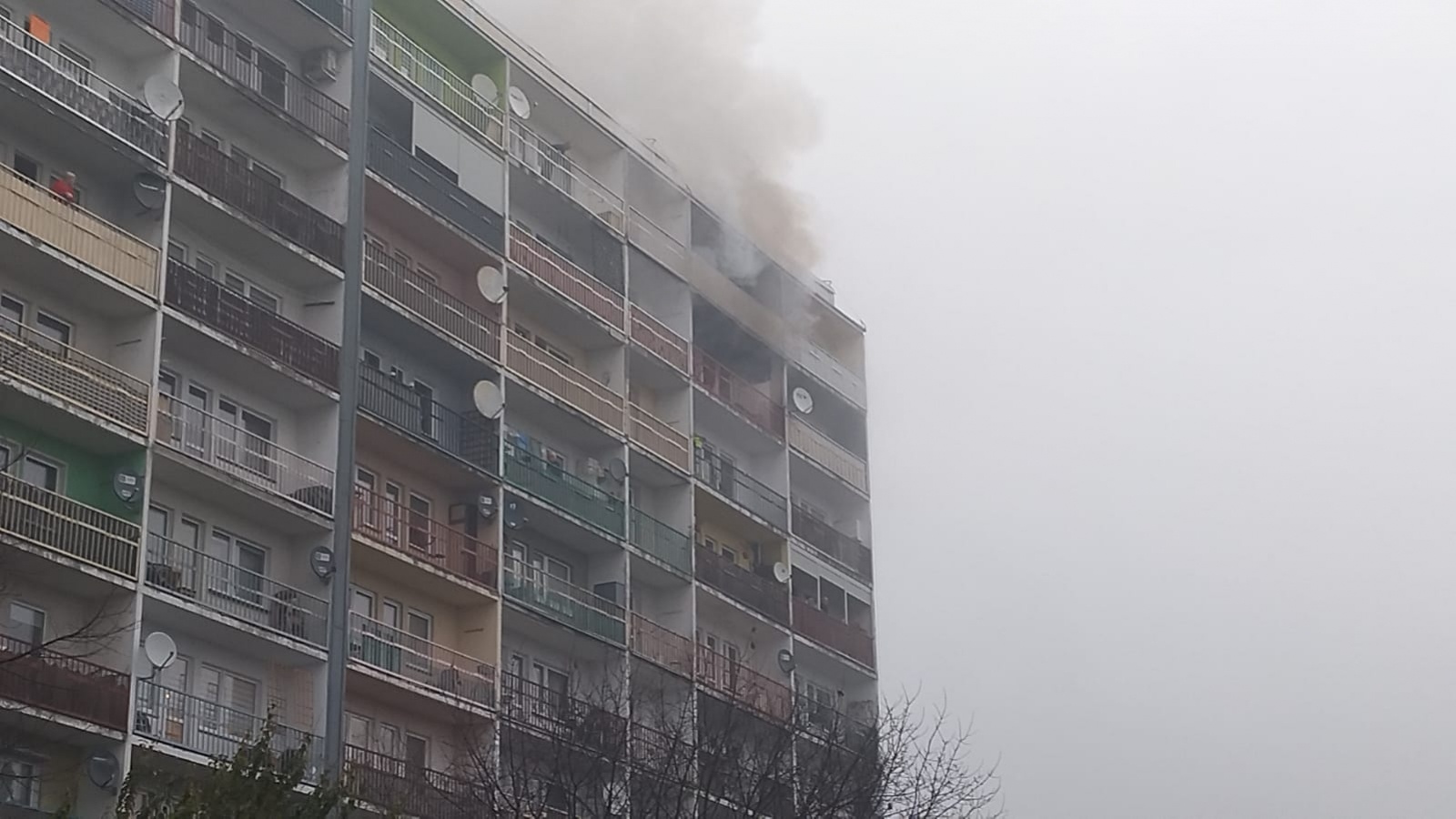 Zdjęcie w galerii na portalu naszraciborz.pl: Pożar mieszkania przy ul. Żorskiej w Raciborzu. Uratowano psa, 100 tys. zł strat [FOTO i WIDEO] wiadomości z regionu