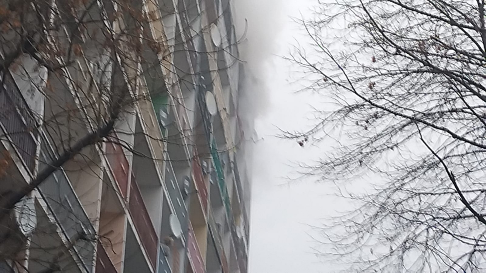 Zdjęcie w galerii na portalu naszraciborz.pl: Pożar mieszkania przy ul. Żorskiej w Raciborzu. Uratowano psa, 100 tys. zł strat [FOTO i WIDEO] wiadomości z regionu