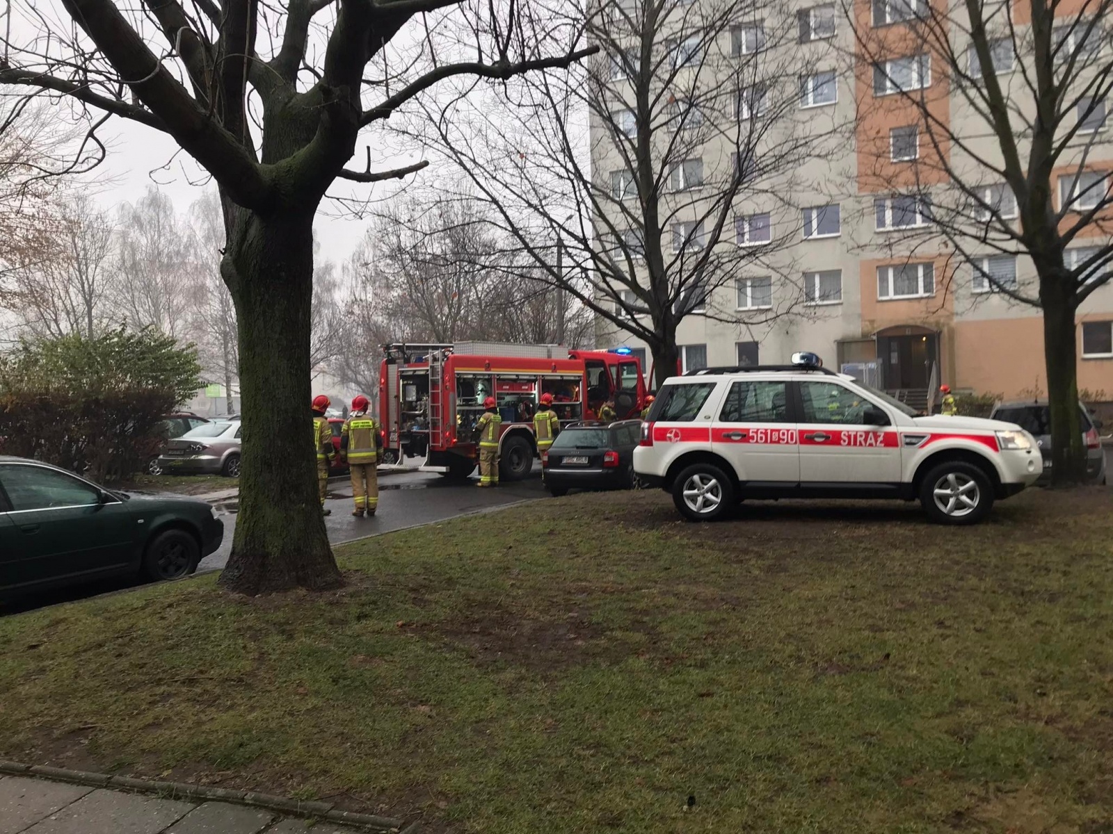 Zdjęcie w galerii na portalu naszraciborz.pl: Pożar mieszkania przy ul. Żorskiej w Raciborzu. Uratowano psa, 100 tys. zł strat [FOTO i WIDEO] wiadomości z regionu
