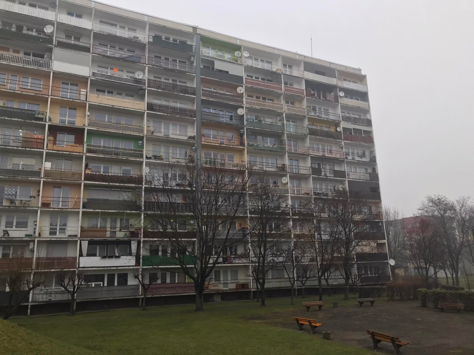 Zdjęcie w galerii na portalu naszraciborz.pl: Pożar mieszkania przy ul. Żorskiej w Raciborzu. Uratowano psa, 100 tys. zł strat [FOTO i WIDEO] wiadomości z regionu