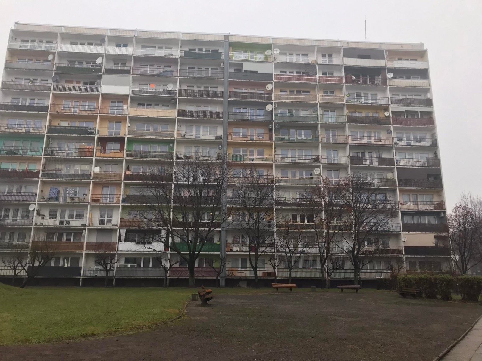 Zdjęcie w galerii na portalu naszraciborz.pl: Pożar mieszkania przy ul. Żorskiej w Raciborzu. Uratowano psa, 100 tys. zł strat [FOTO i WIDEO] wiadomości z regionu