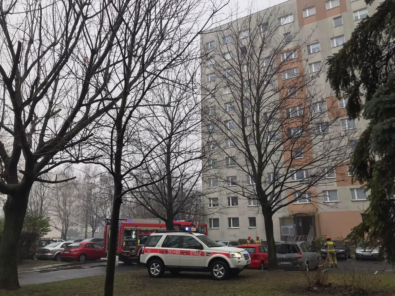 Zdjęcie w galerii na portalu naszraciborz.pl: Pożar mieszkania przy ul. Żorskiej w Raciborzu. Uratowano psa, 100 tys. zł strat [FOTO i WIDEO] wiadomości z regionu