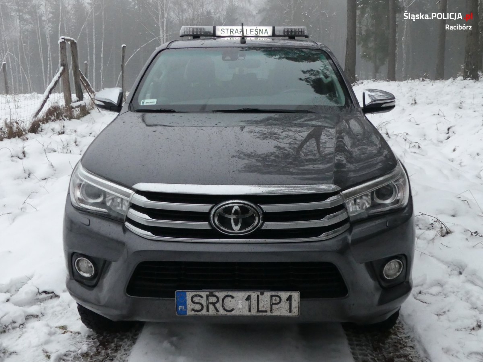 Zdjęcie w galerii na portalu naszraciborz.pl: Policja i leśnicy prowadzą akcję pod kryptonimem Choinka wiadomości z regionu