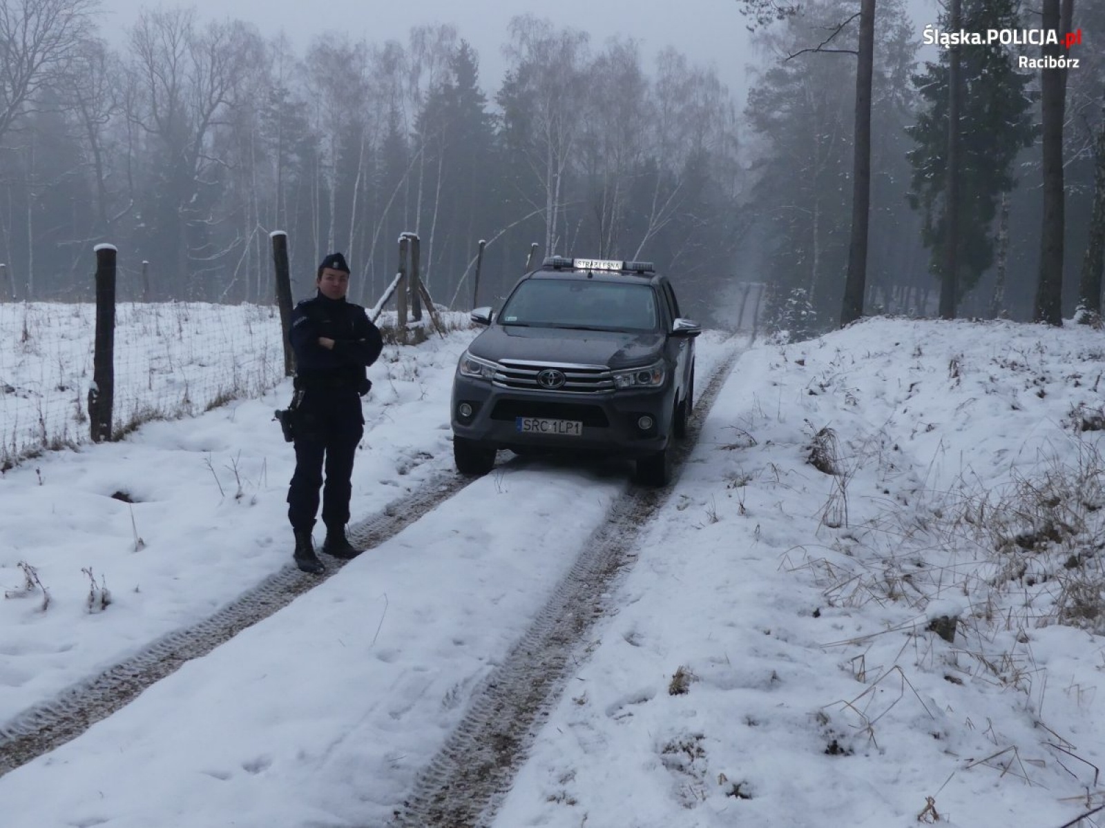 Zdjęcie w galerii na portalu naszraciborz.pl: Policja i leśnicy prowadzą akcję pod kryptonimem Choinka wiadomości z regionu