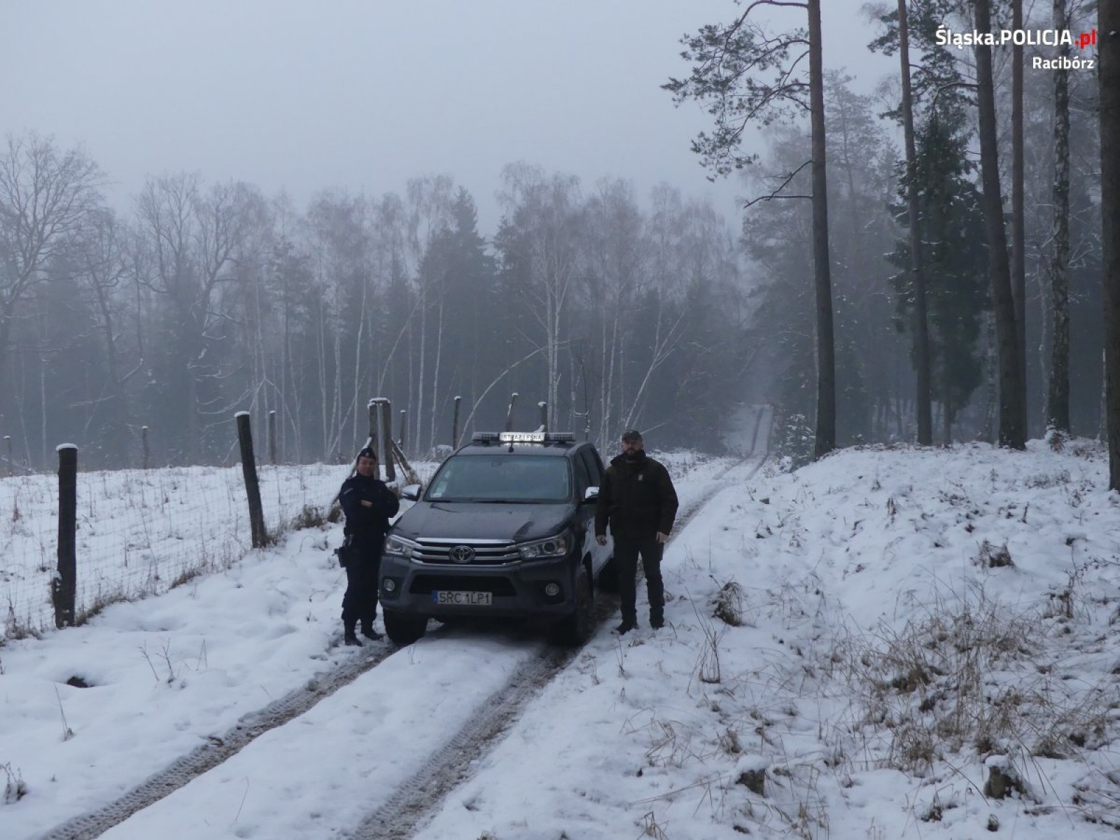 Zdjęcie w galerii na portalu naszraciborz.pl: Policja i leśnicy prowadzą akcję pod kryptonimem Choinka wiadomości z regionu