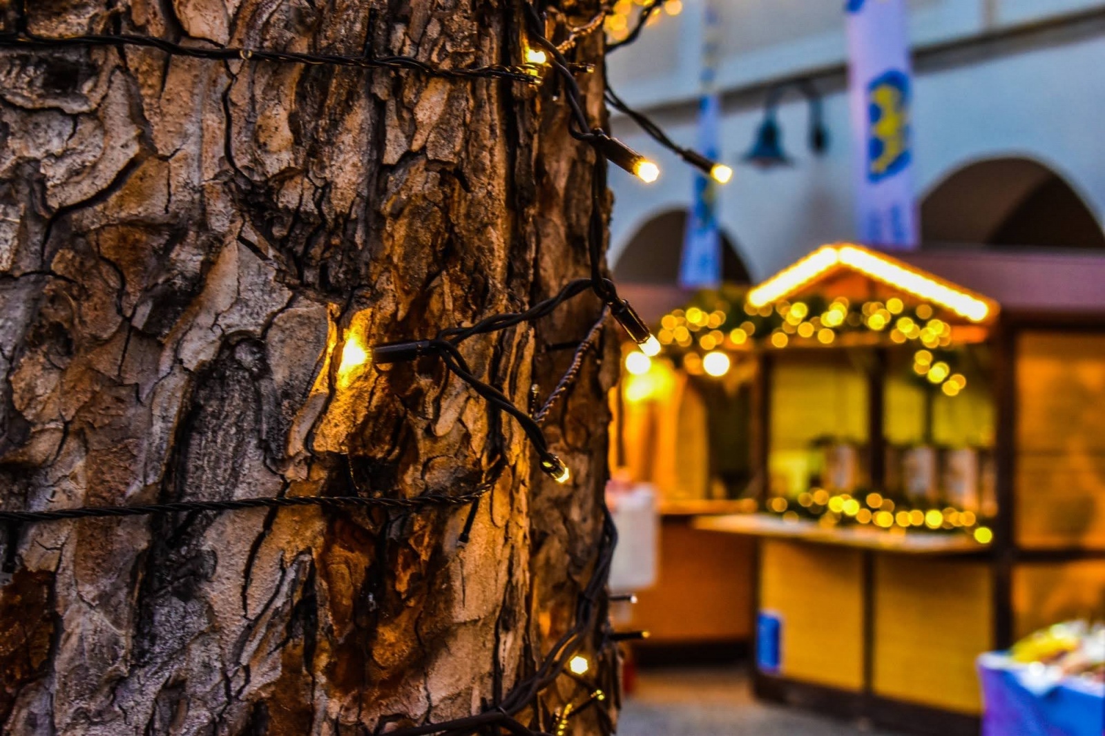 Zdjęcie w galerii na portalu naszraciborz.pl: Śląski Jarmark Bożonarodzeniowy na zamku w Raciborzu - dzień piąty wiadomości z regionu