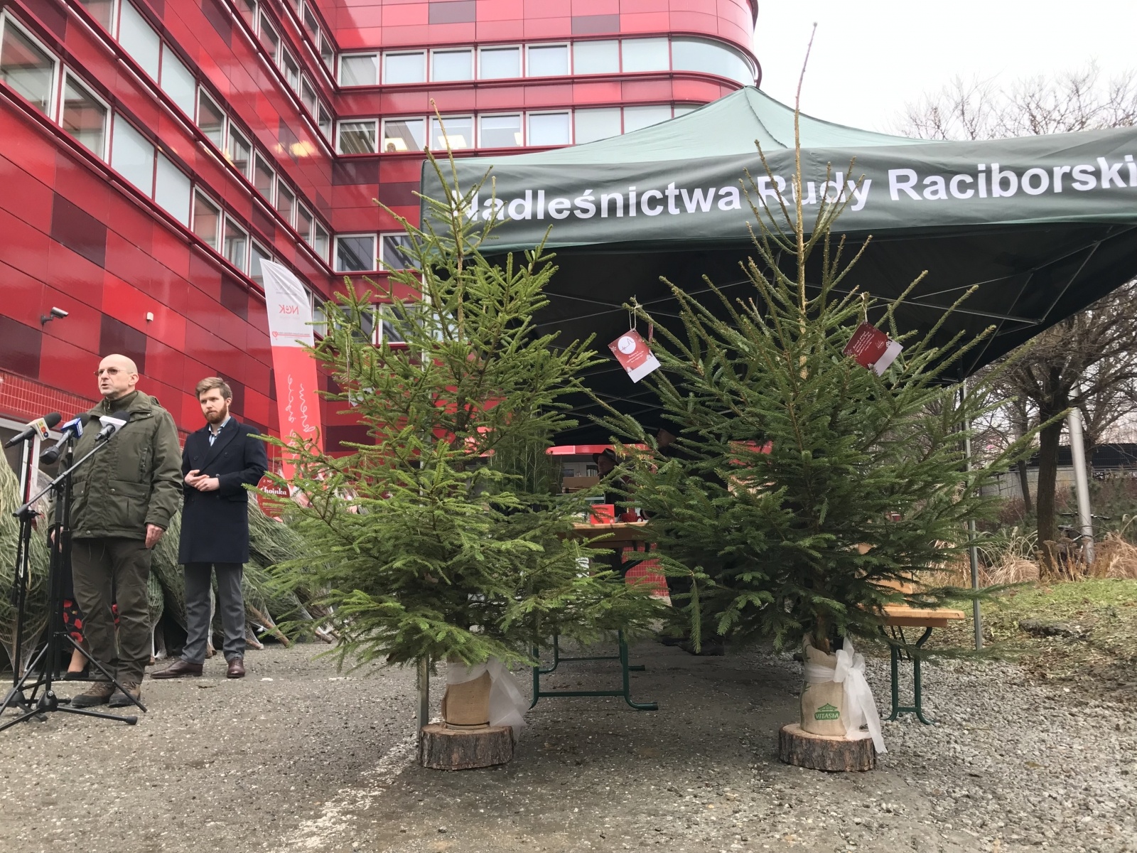 Zdjęcie w galerii na portalu naszraciborz.pl: Pachnące drzewka za krew. Akcja Lasów Państwowych i krwiodawstwa wiadomości z regionu