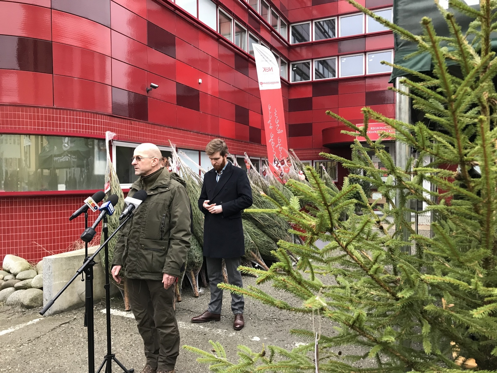 Zdjęcie w galerii na portalu naszraciborz.pl: Pachnące drzewka za krew. Akcja Lasów Państwowych i krwiodawstwa wiadomości z regionu