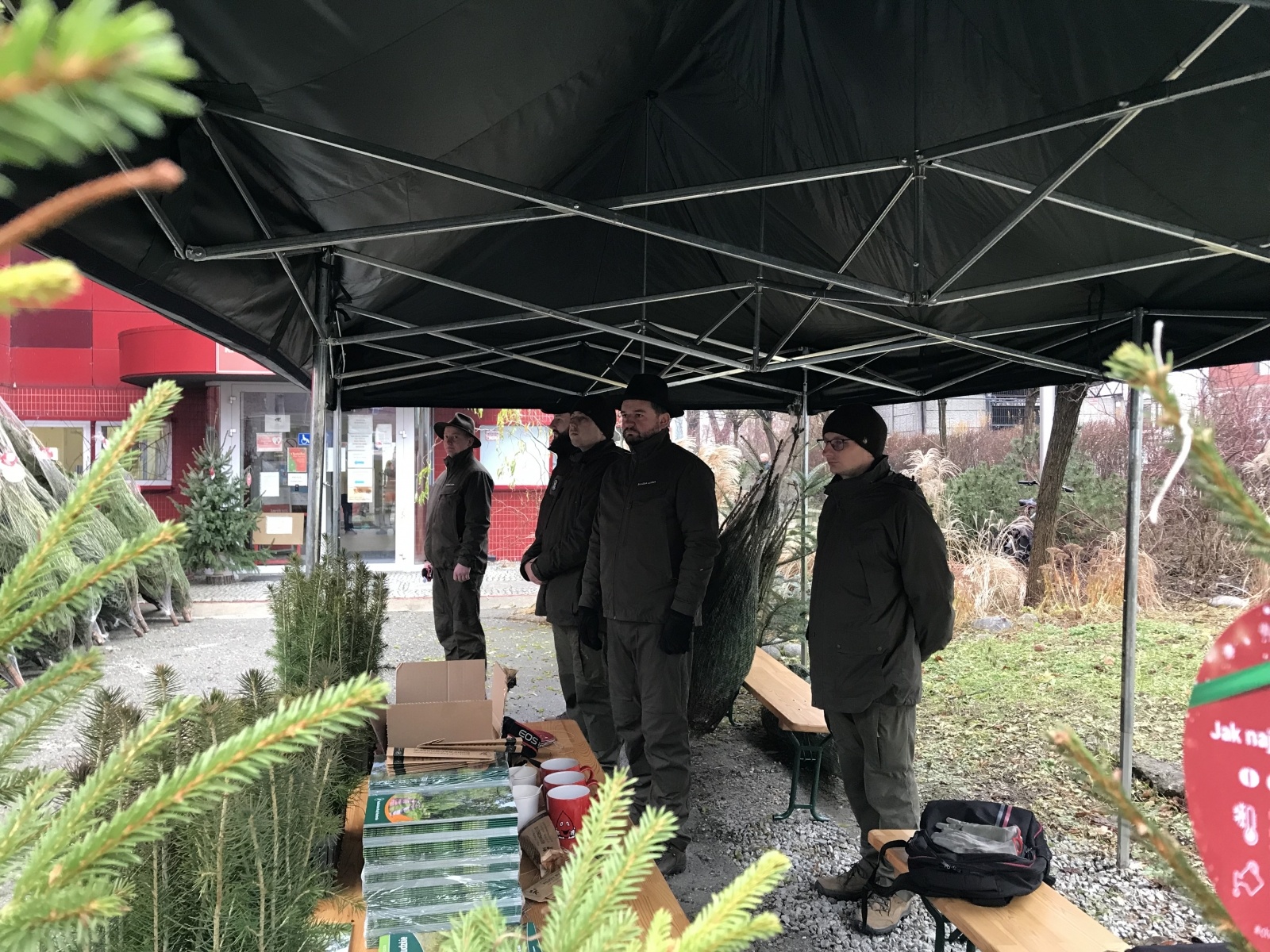 Zdjęcie w galerii na portalu naszraciborz.pl: Pachnące drzewka za krew. Akcja Lasów Państwowych i krwiodawstwa wiadomości z regionu