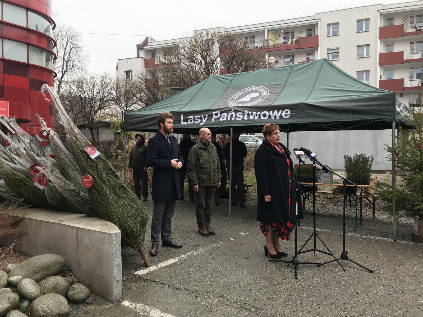 Zdjęcie w galerii na portalu naszraciborz.pl: Pachnące drzewka za krew. Akcja Lasów Państwowych i krwiodawstwa wiadomości z regionu
