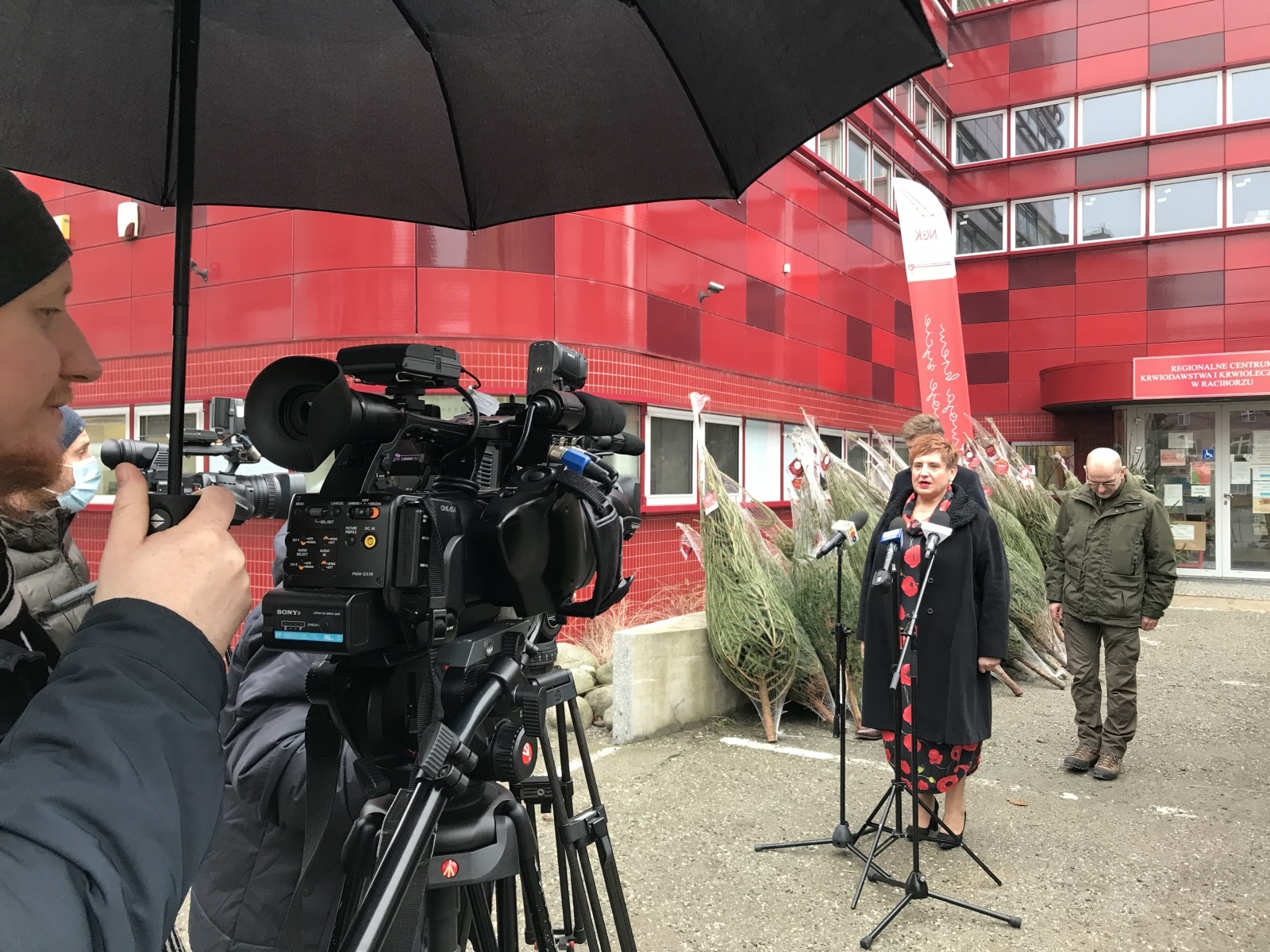 Zdjęcie w galerii na portalu naszraciborz.pl: Pachnące drzewka za krew. Akcja Lasów Państwowych i krwiodawstwa wiadomości z regionu