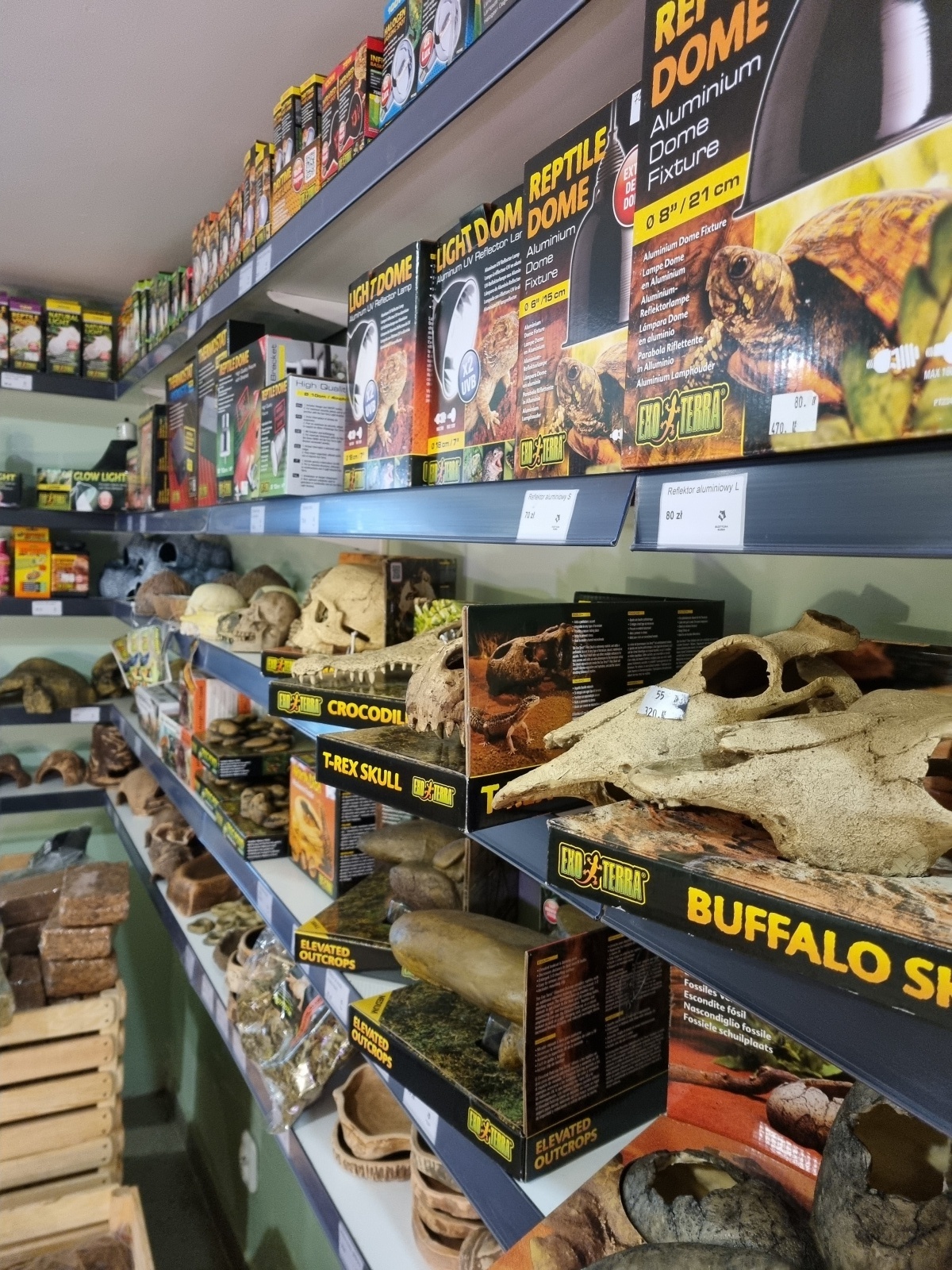 Zdjęcie w galerii na portalu naszraciborz.pl: Kraina egzotyki w centrum Raciborza! wiadomości z regionu