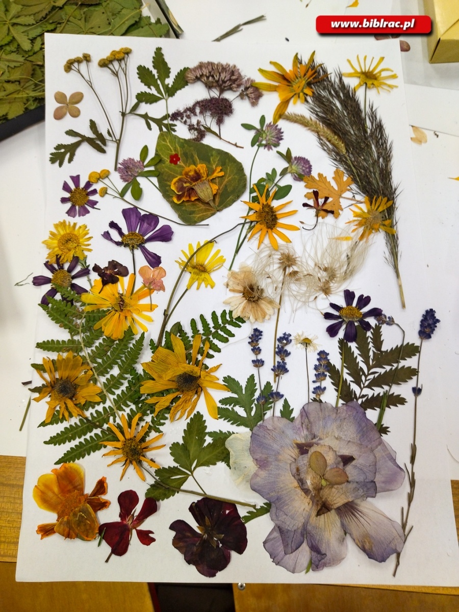 Zdjęcie w galerii na portalu naszraciborz.pl: Świąteczne warsztaty dla dzieci w bibliotece w Markowicach wiadomości z regionu