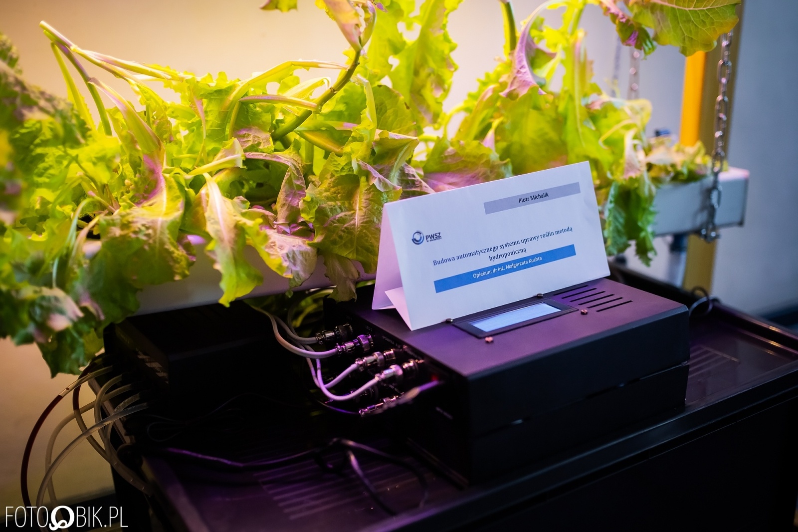 Zdjęcie w galerii na portalu naszraciborz.pl: Projekt inżynierski absolwenta raciborskiej PWSZ najlepszy w Polsce wiadomości z regionu