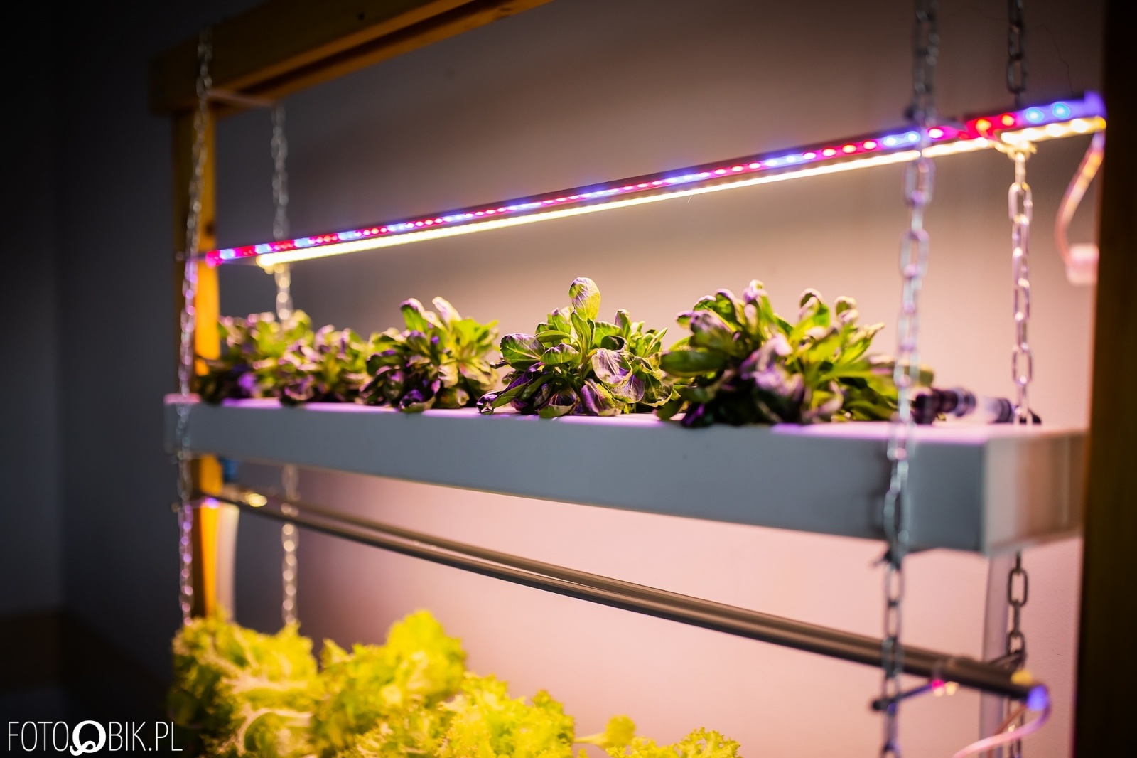 Zdjęcie w galerii na portalu naszraciborz.pl: Projekt inżynierski absolwenta raciborskiej PWSZ najlepszy w Polsce wiadomości z regionu