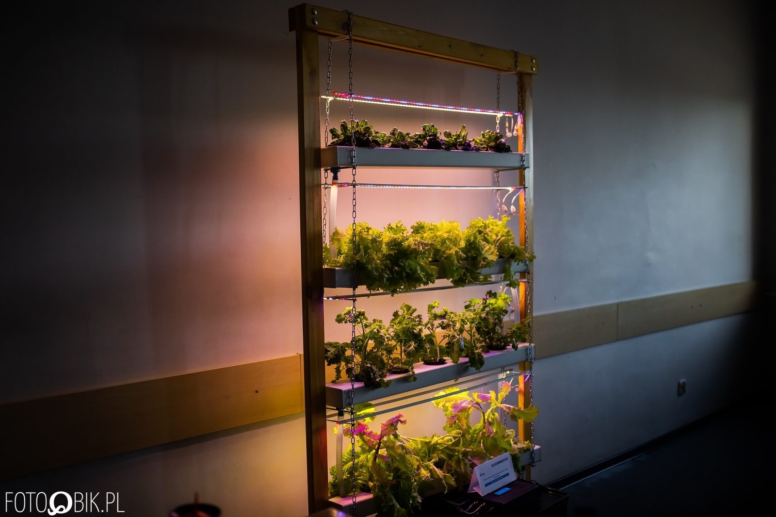 Zdjęcie w galerii na portalu naszraciborz.pl: Projekt inżynierski absolwenta raciborskiej PWSZ najlepszy w Polsce wiadomości z regionu