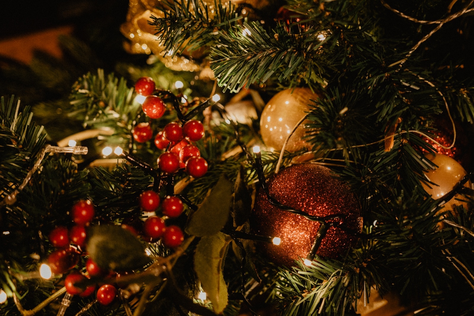 Zdjęcie w galerii na portalu naszraciborz.pl: Uczniowie Raciborskiego Ogniska Muzycznego zagrali na zamku [FOTO] wiadomości z regionu