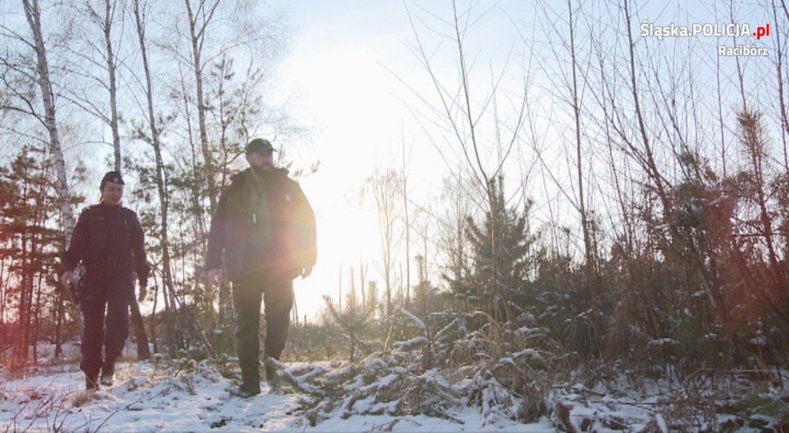 Zdjęcie w galerii na portalu naszraciborz.pl: W tej akcji pilnowano nie tylko choinek. Kradzież gałęzi też jest karana wiadomości z regionu