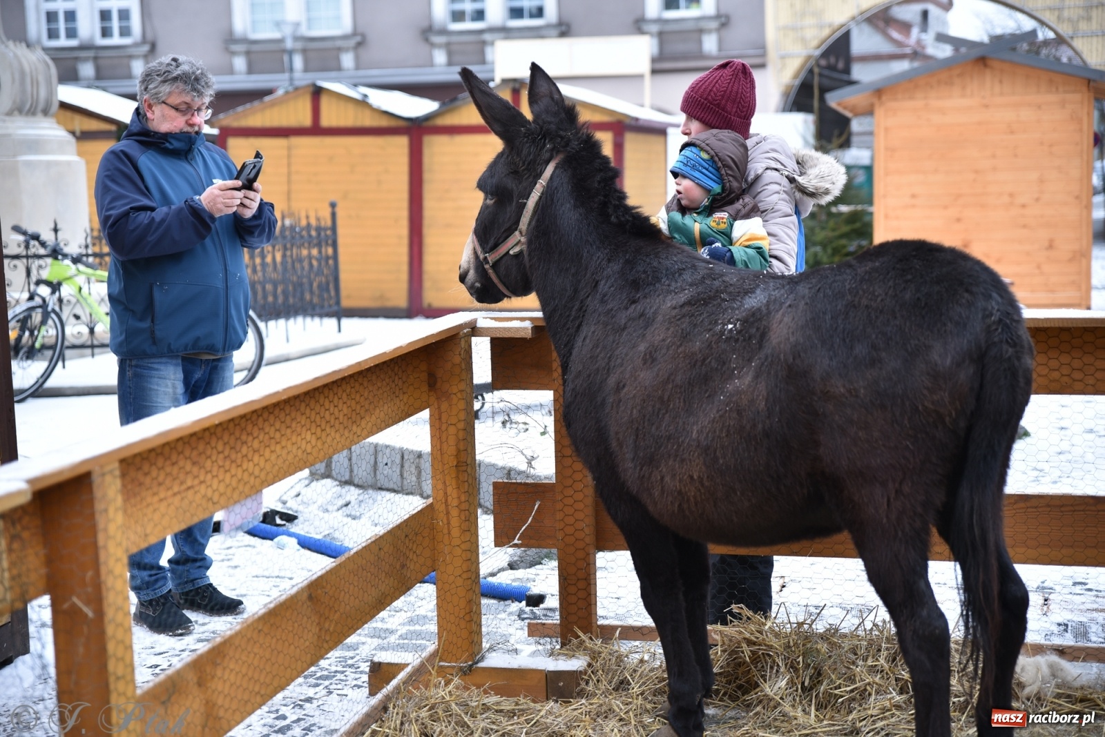 Zdjęcie w galerii na portalu naszraciborz.pl: Na raciborskim Rynku stanęła żywa szopka [FOTO] wiadomości z regionu
