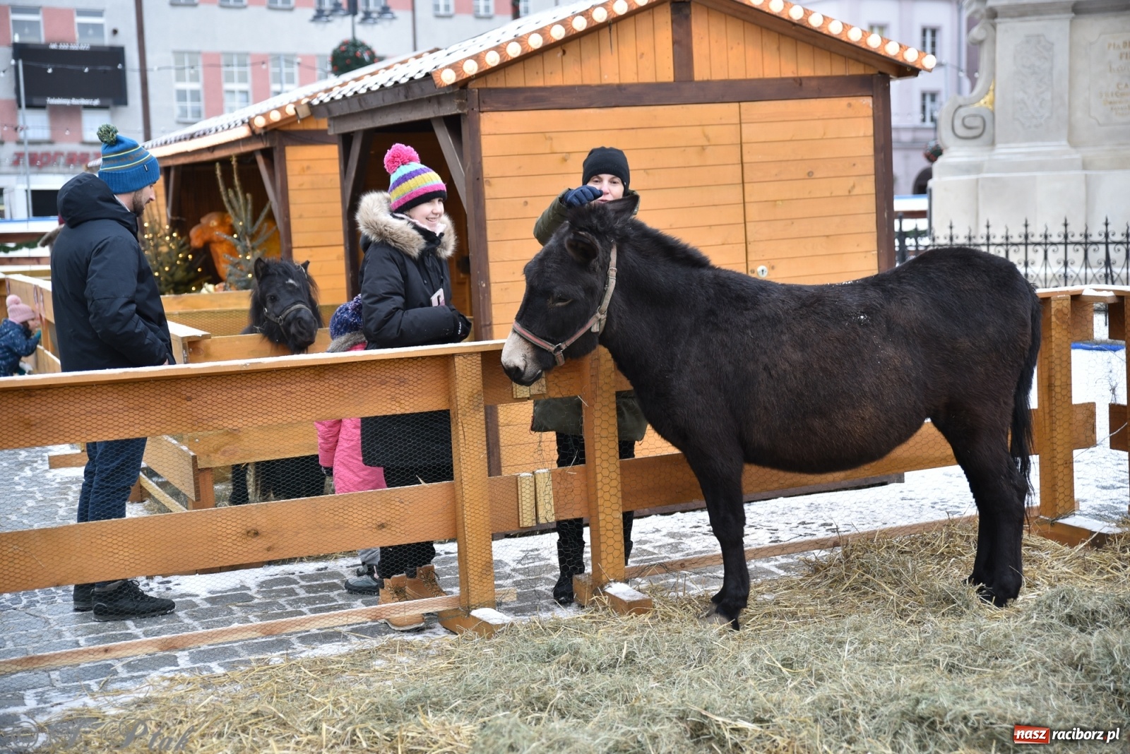 Zdjęcie w galerii na portalu naszraciborz.pl: Na raciborskim Rynku stanęła żywa szopka [FOTO] wiadomości z regionu