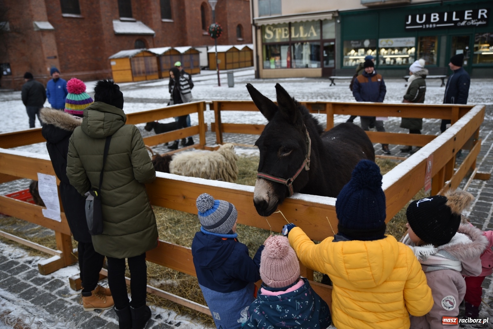 Zdjęcie w galerii na portalu naszraciborz.pl: Na raciborskim Rynku stanęła żywa szopka [FOTO] wiadomości z regionu
