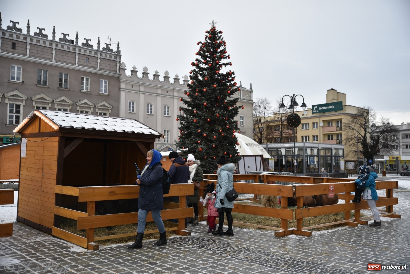 Zdjęcie w galerii na portalu naszraciborz.pl: Na raciborskim Rynku stanęła żywa szopka [FOTO] wiadomości z regionu