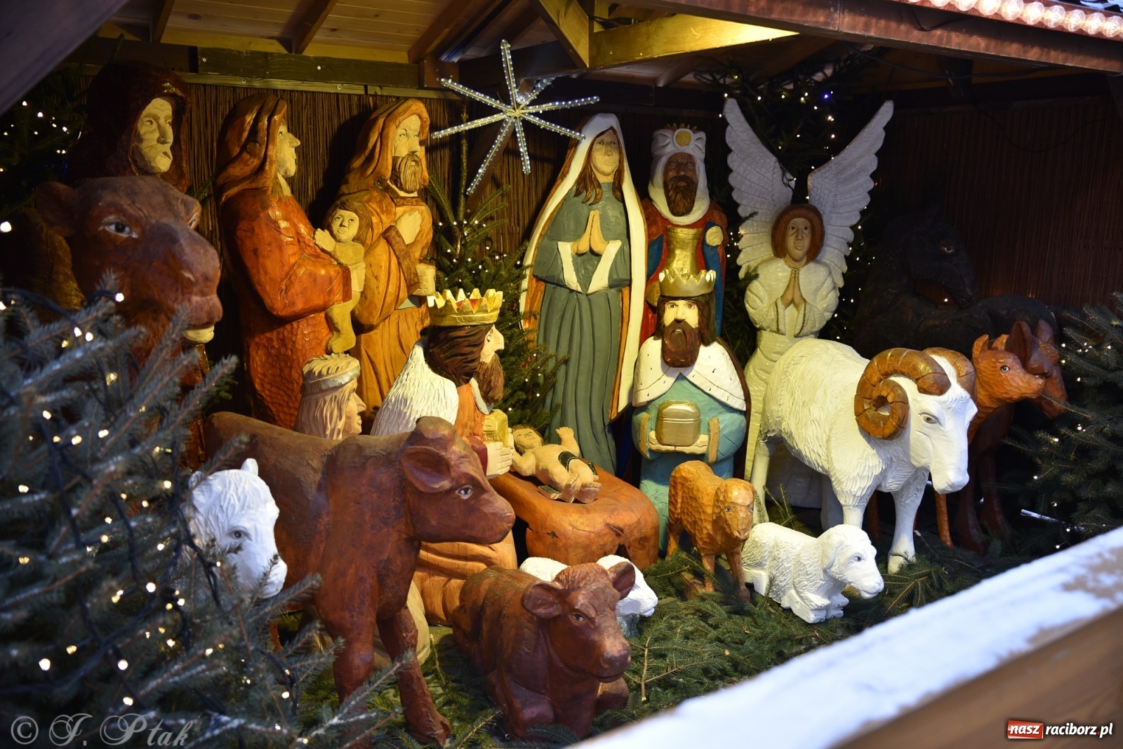 Zdjęcie w galerii na portalu naszraciborz.pl: Na raciborskim Rynku stanęła żywa szopka [FOTO] wiadomości z regionu