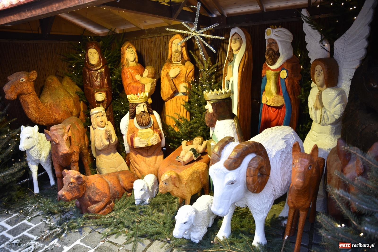 Zdjęcie w galerii na portalu naszraciborz.pl: Na raciborskim Rynku stanęła żywa szopka [FOTO] wiadomości z regionu