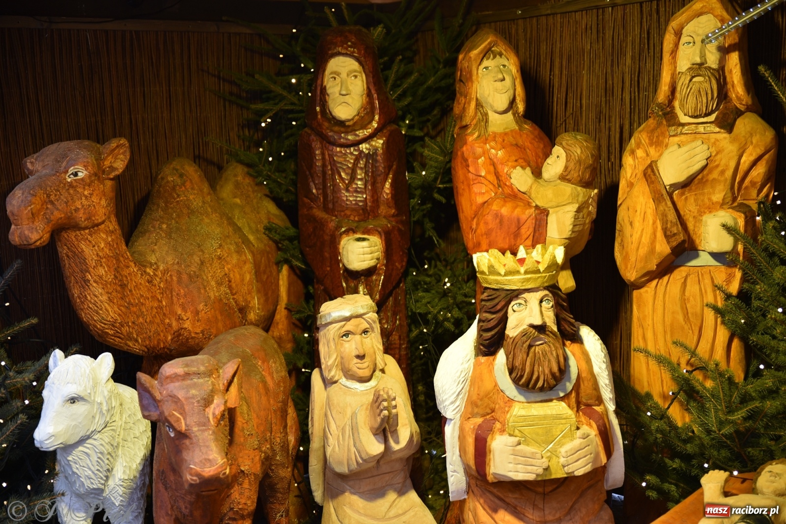 Zdjęcie w galerii na portalu naszraciborz.pl: Na raciborskim Rynku stanęła żywa szopka [FOTO] wiadomości z regionu