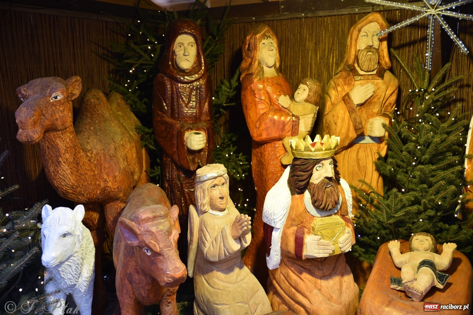 Zdjęcie w galerii na portalu naszraciborz.pl: Na raciborskim Rynku stanęła żywa szopka [FOTO] wiadomości z regionu